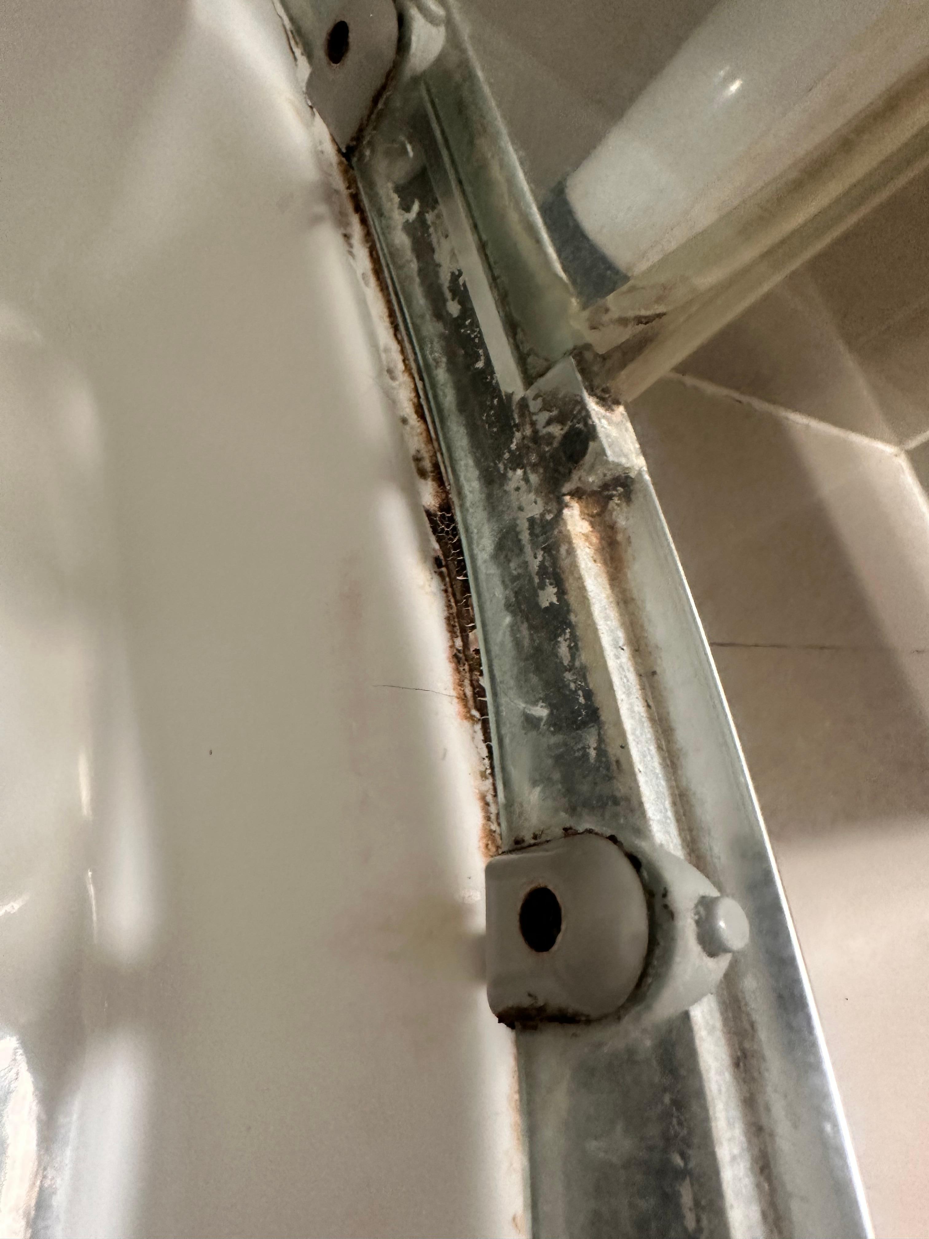 Dirt grime muck mould in our shower and you can see the plunger 