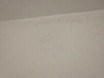 Black mold above the shower