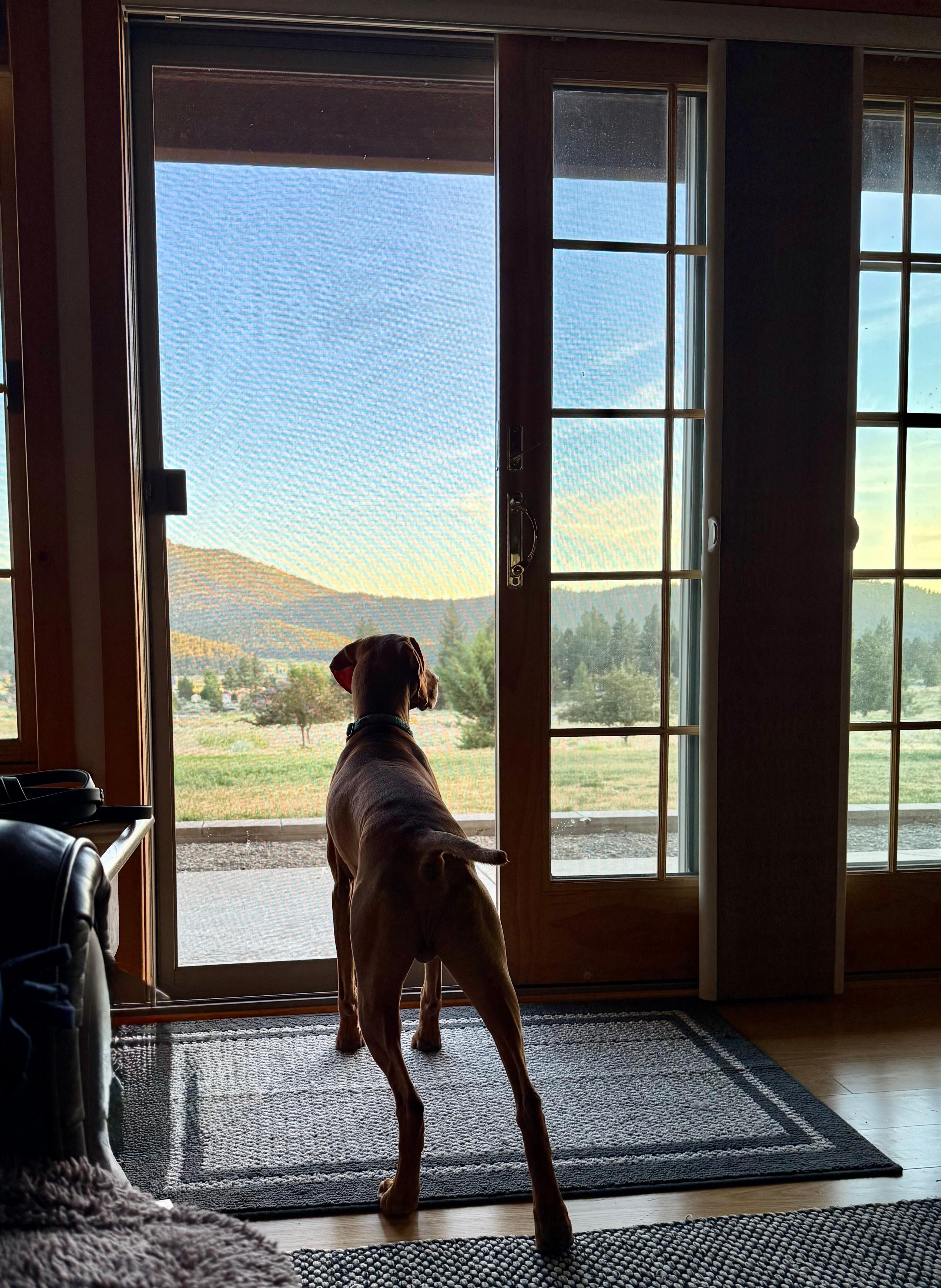 Beautiful views