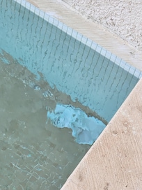 Another guest's underwear sat in front of our swim up pool for our entire stay.