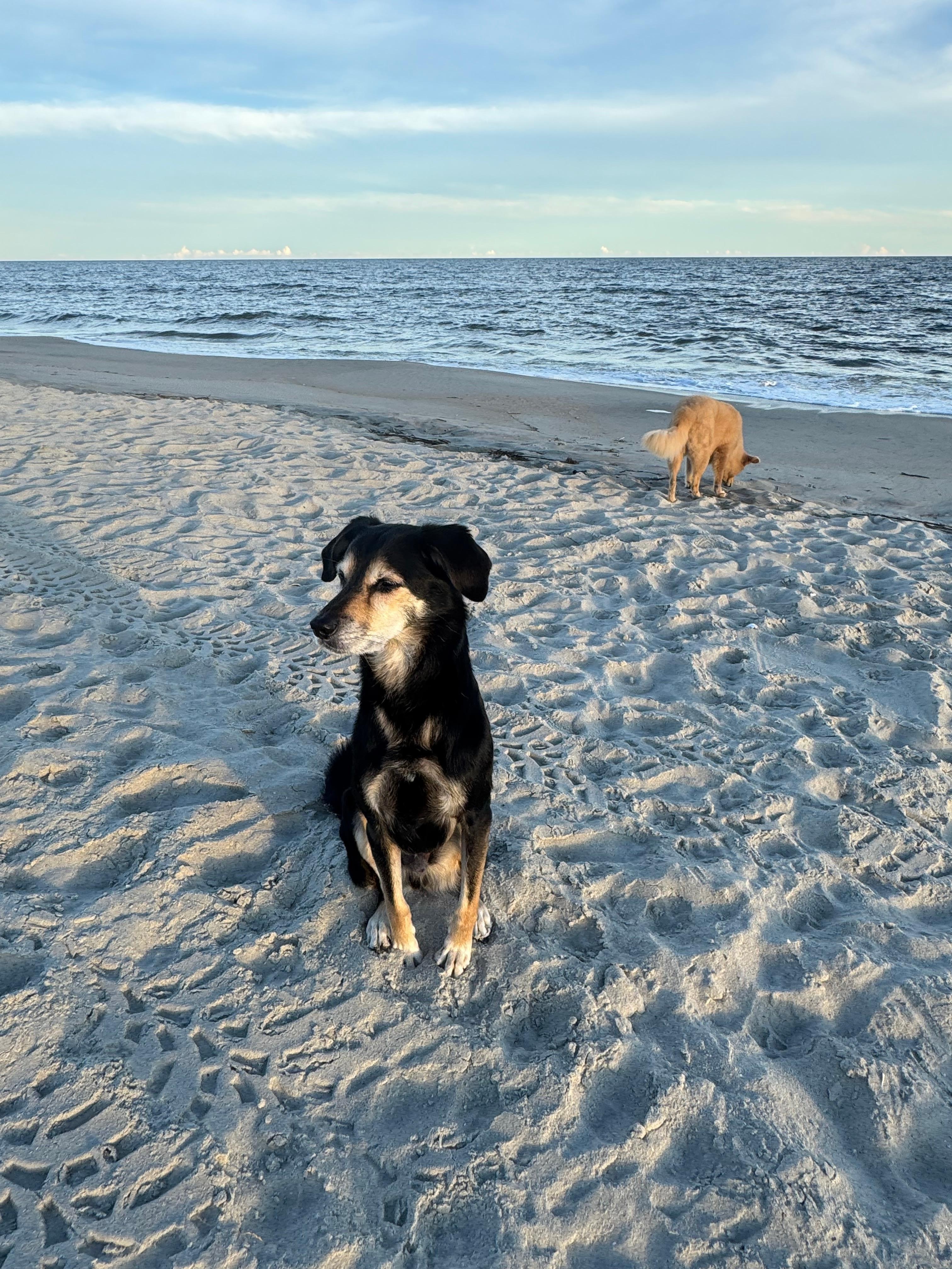 So much to see....and smell!