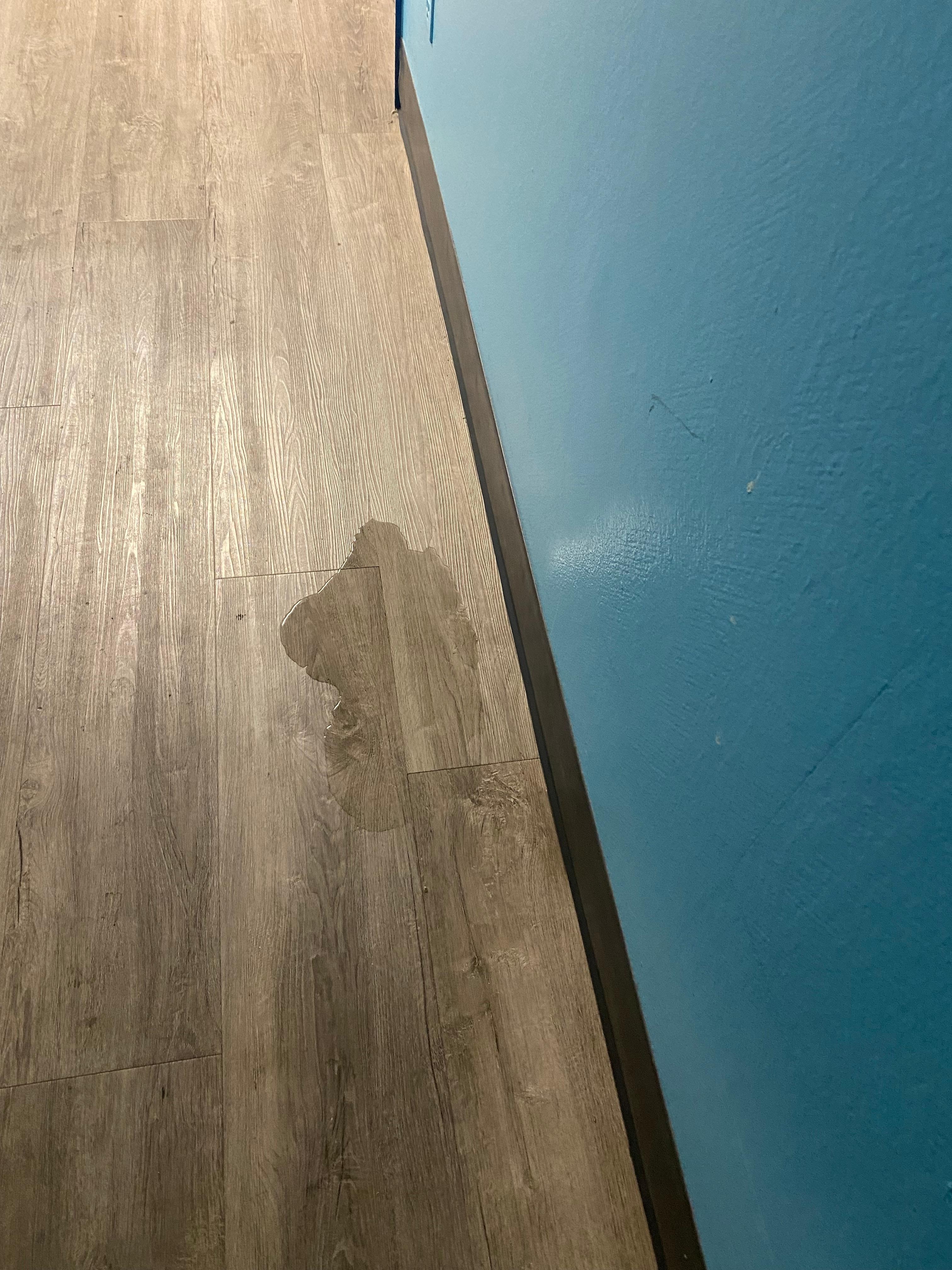 Leaked into the hallway 
