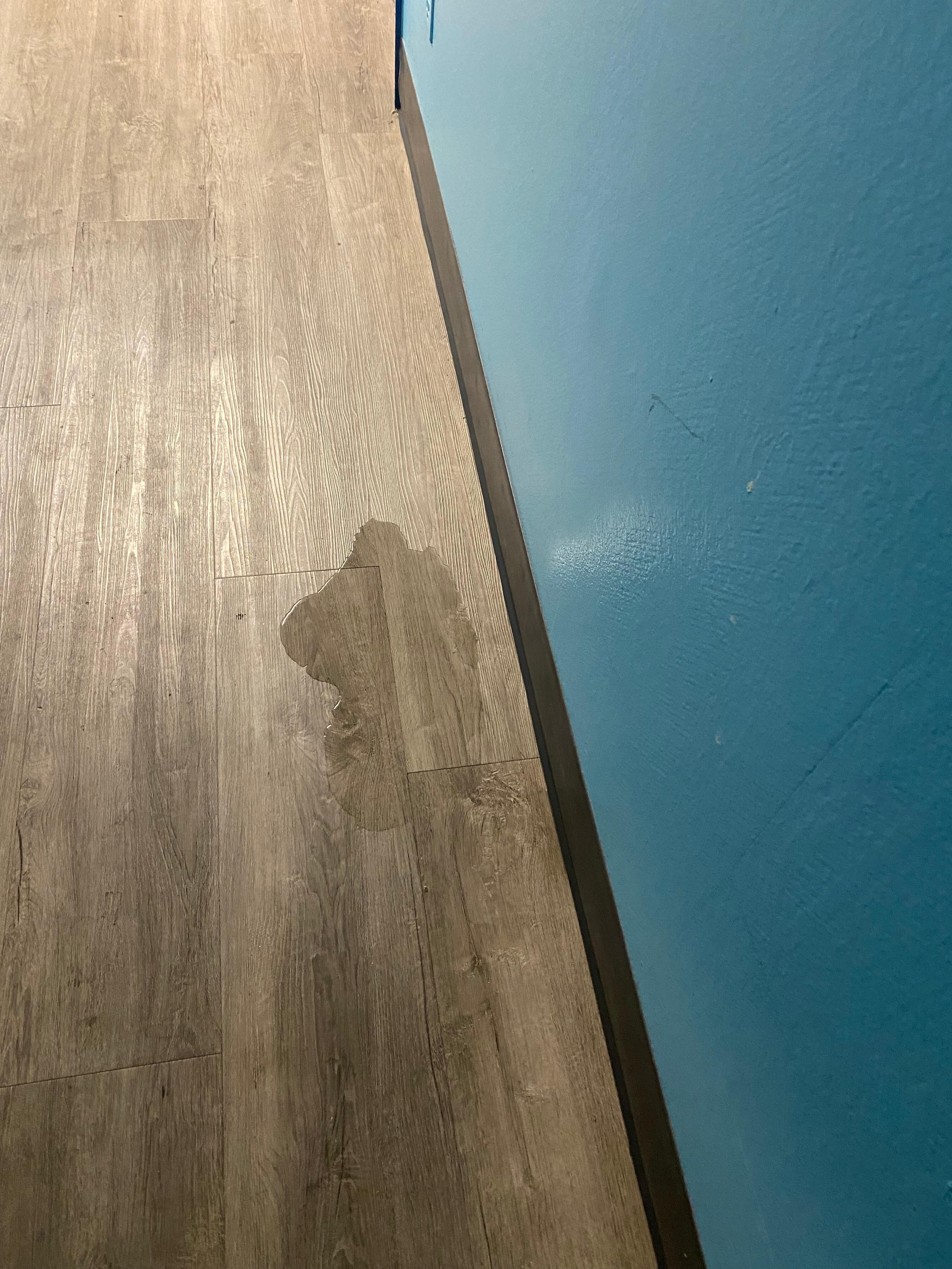 Leaked into the hallway 