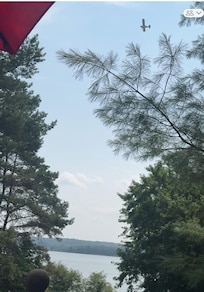 Great entertainment from the deck
