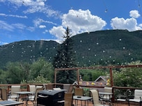 Common deck view with hummingbirds visiting