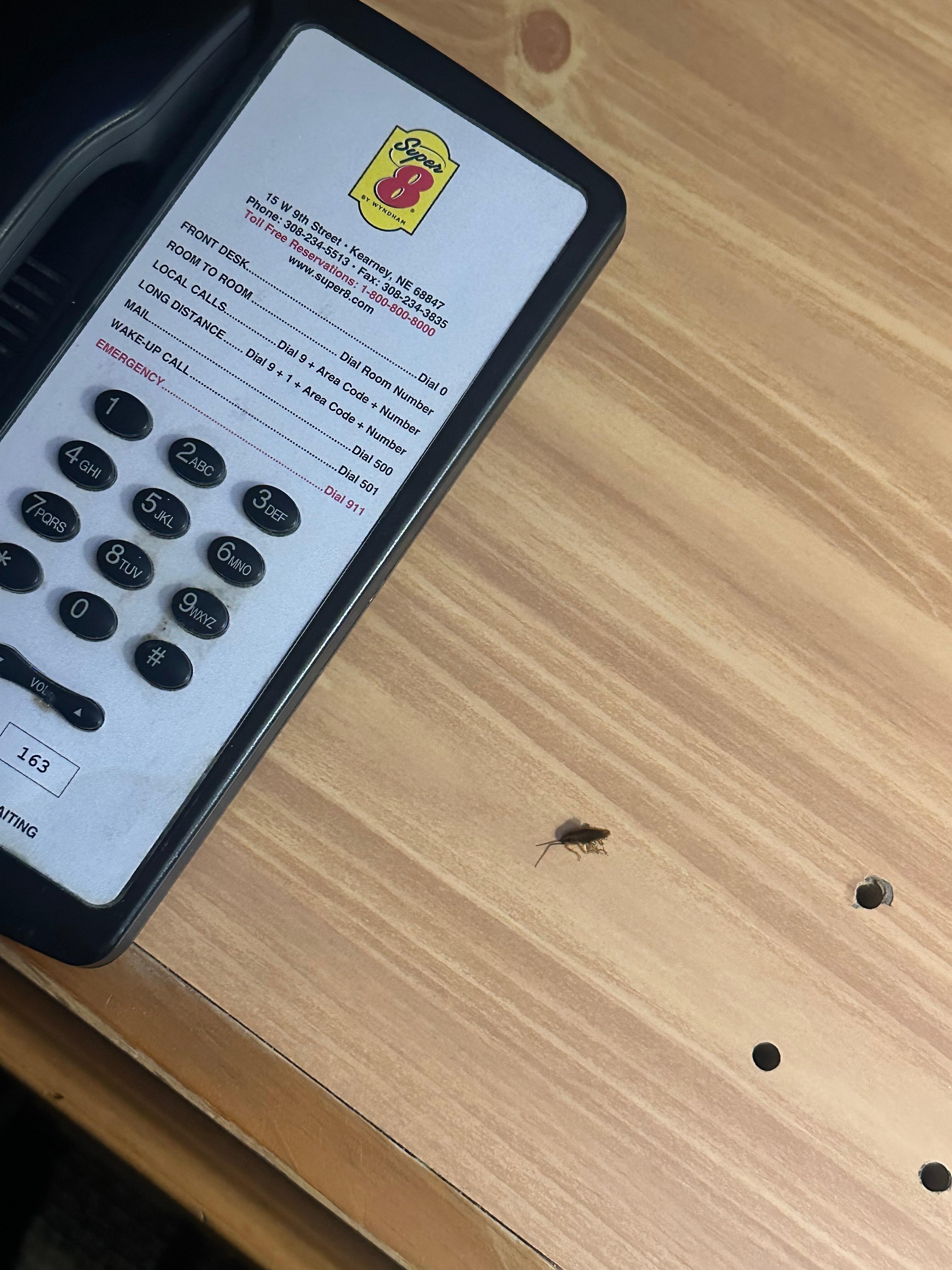 Just so you’ll know it was this hotel