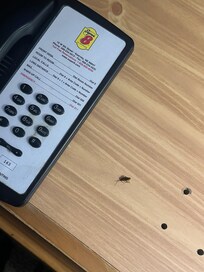 Just so you’ll know it was this hotel