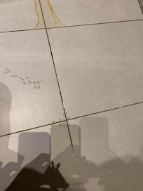 Water mark on the floor due to water seepage