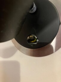 Broken light switch