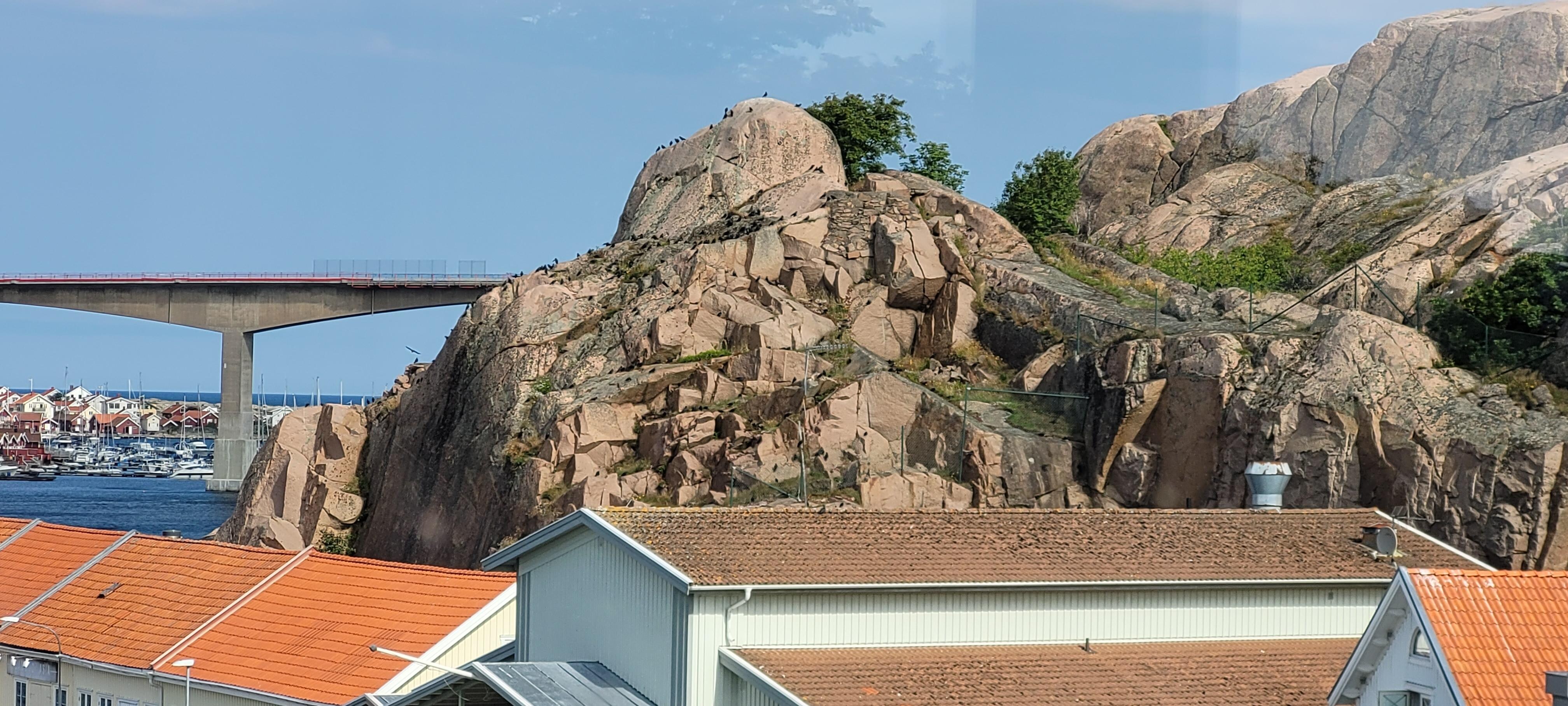 A picture from the hotel, with birds on the rock