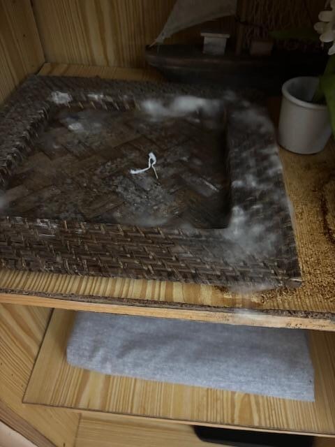 Mold growing inside the cabinet.