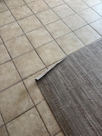 Curled up corner of rug that we tripped over many times