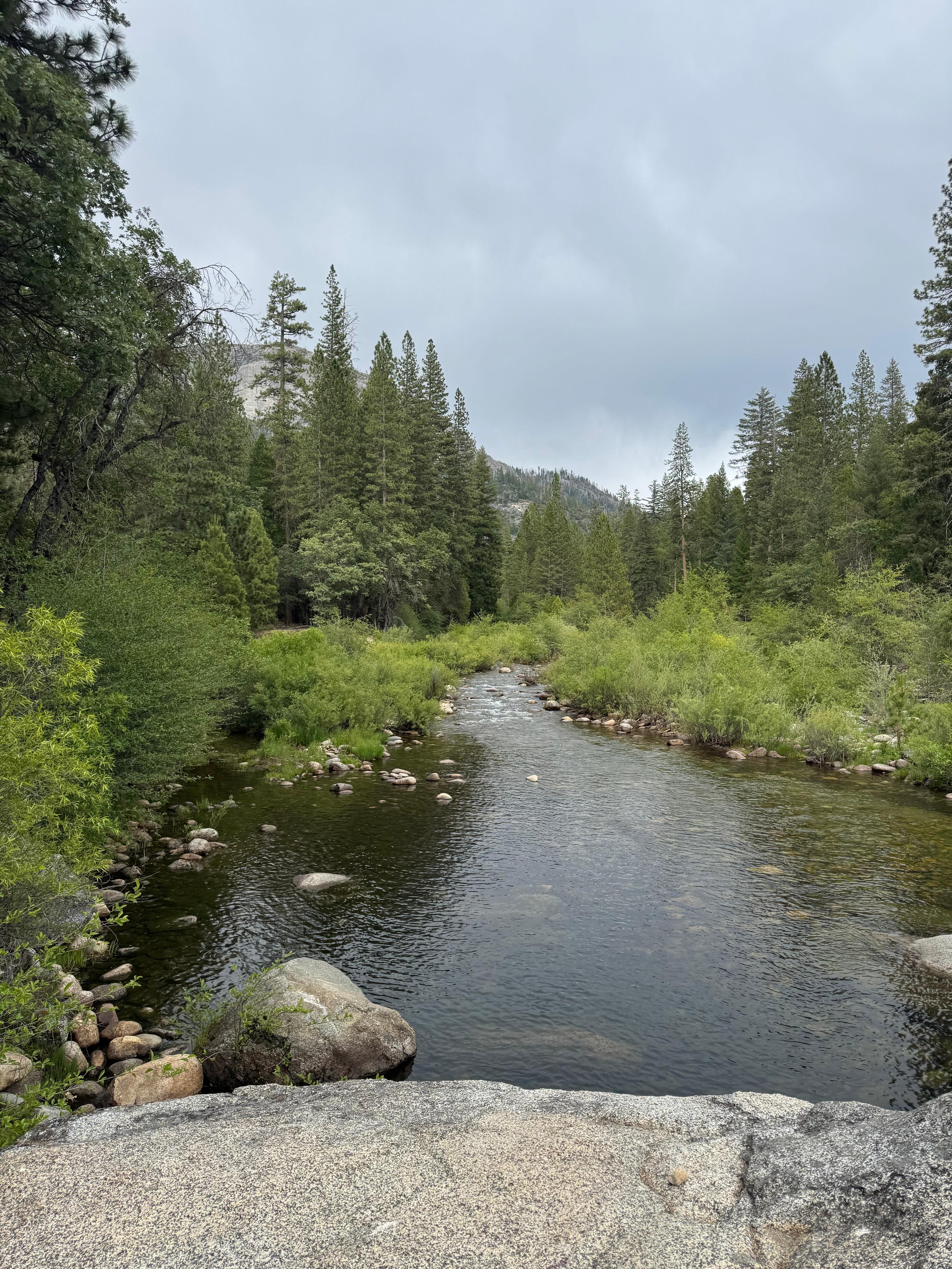 River behind the house 