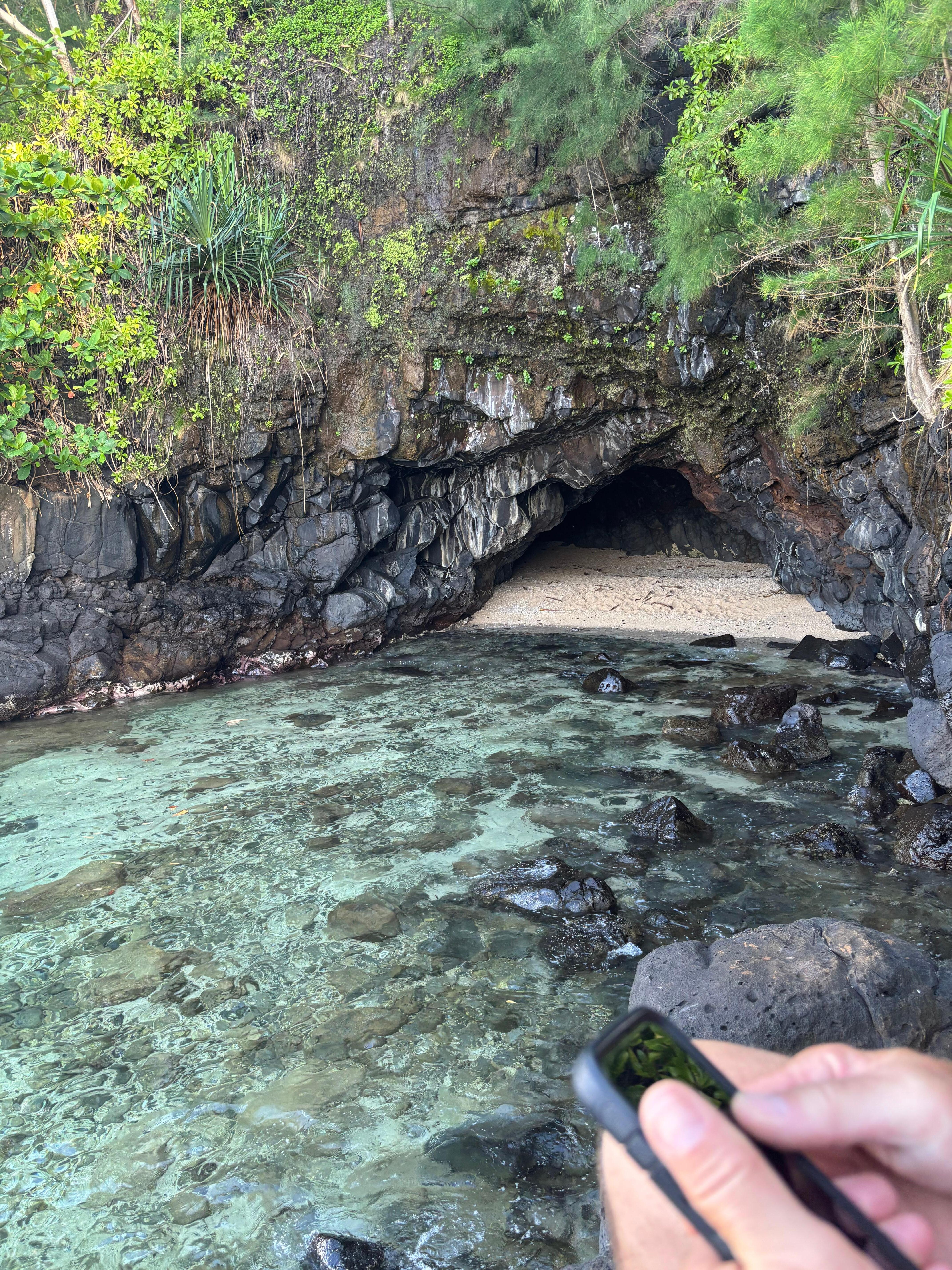 Turtle cove directly below the condo. Trail is challenging.