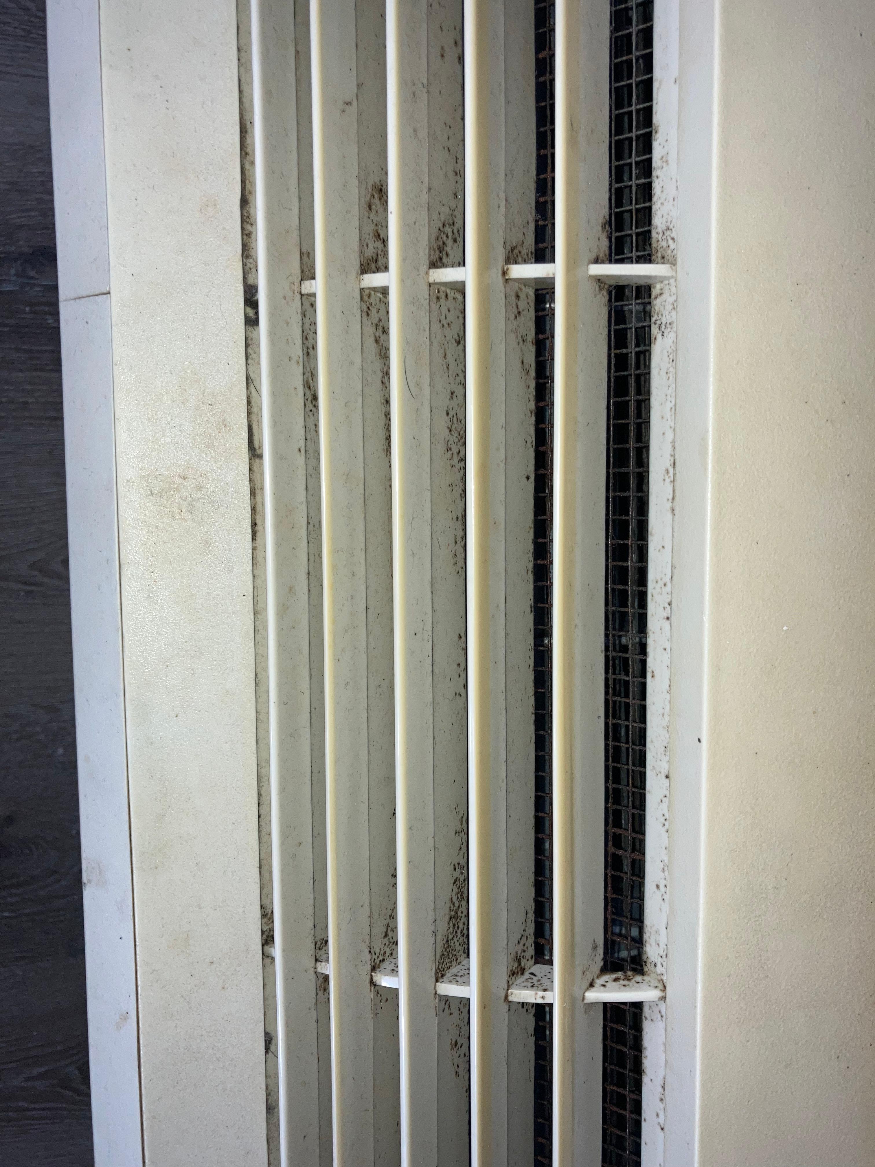 Black mold in the AC. 