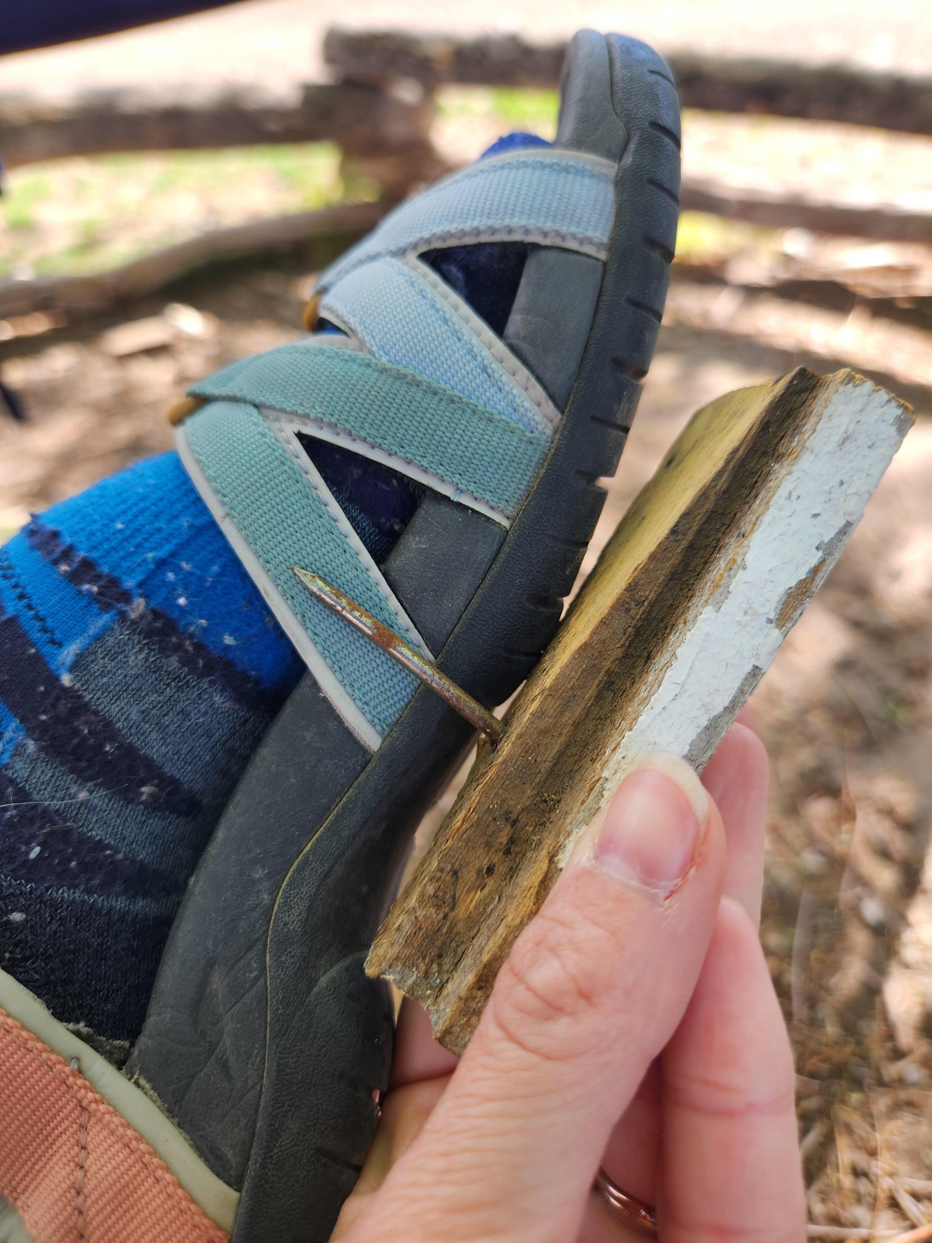 Showing the piece of wood with the nail in it that my husband stepped on compared to hiking sandal.