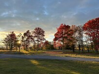 View of wildlife preserve across the street