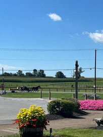 Amish passing hotel