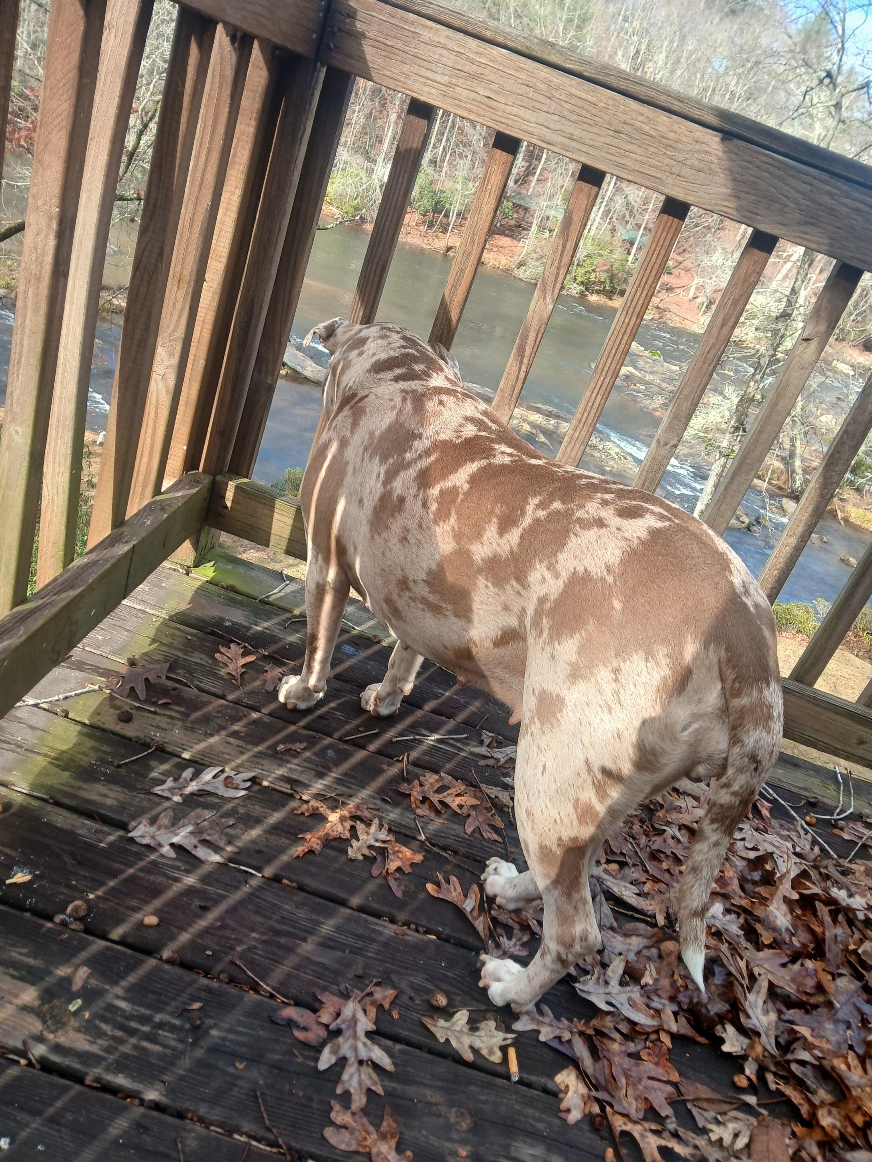 Private balcony master bedroom on 2nd floor 