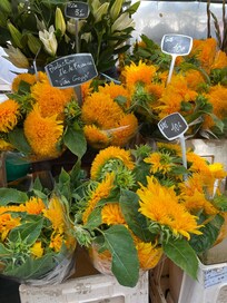 Lige i.nærheden af hotellet er der flere gange om ugen et stort marked