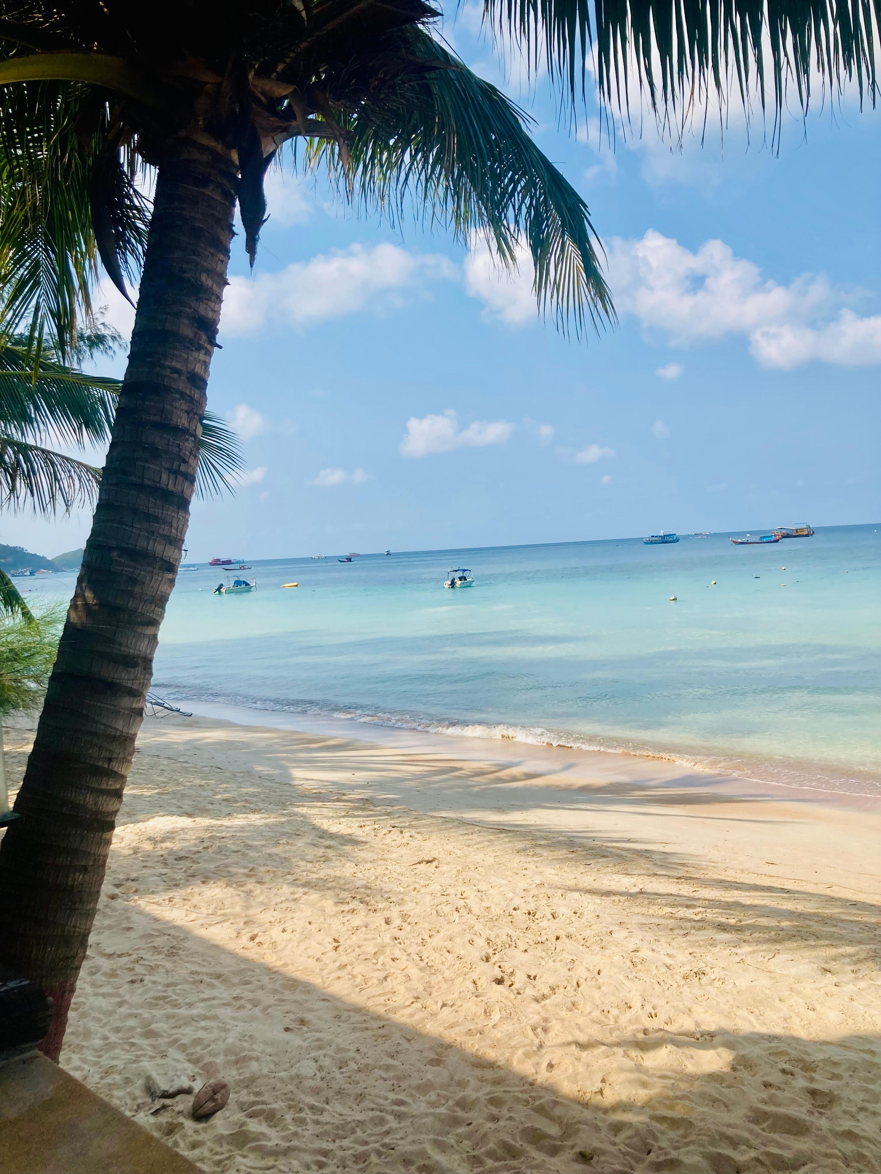 Fint läge med bästa frukost utsikten. 