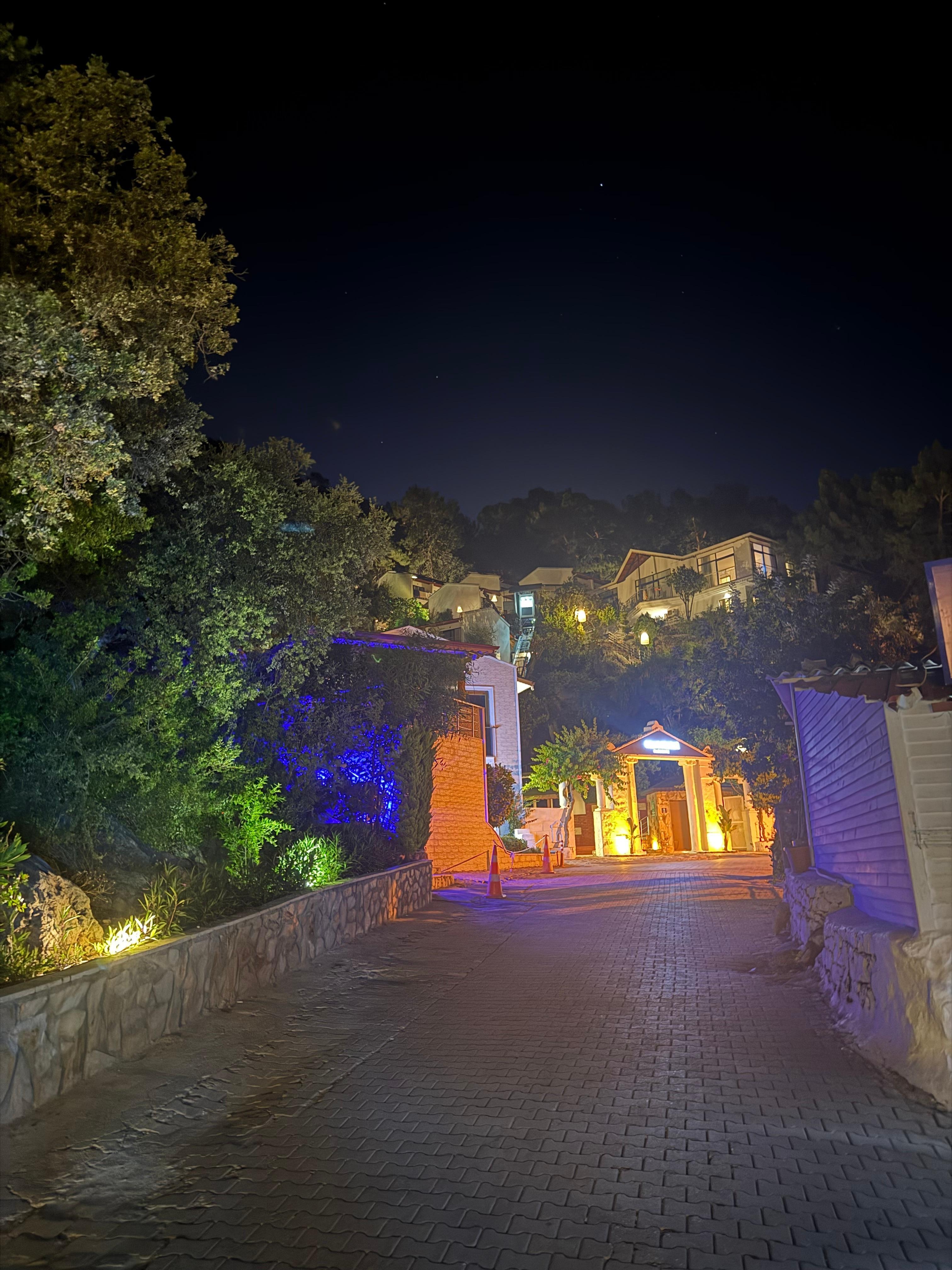 Top half of the resort at night