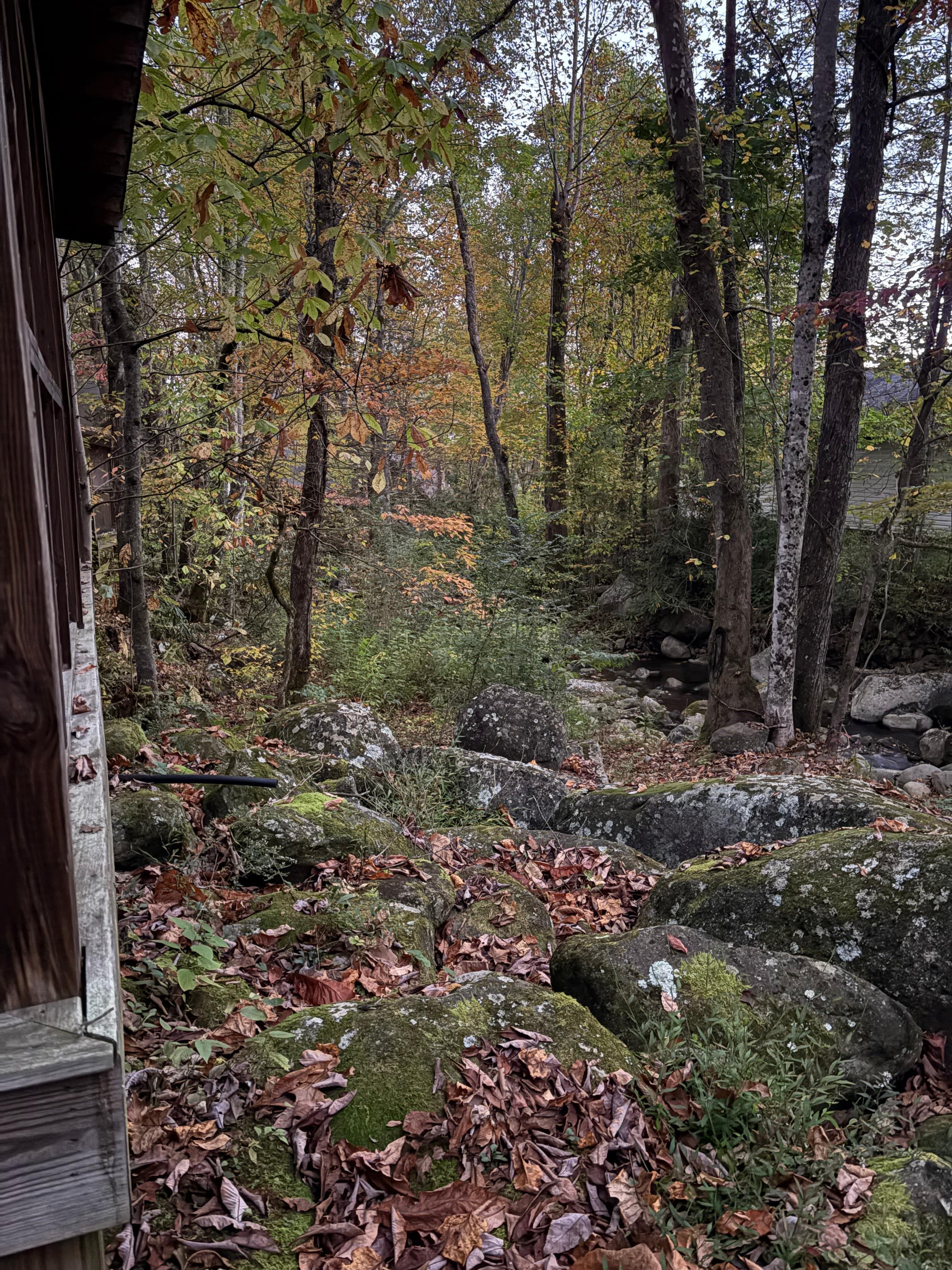 Quiet location yet 10 minutes from Gatlinburg 