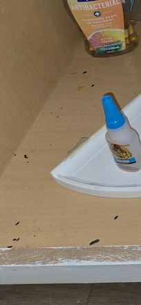 Rat droppings in kitchen cabinets