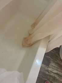 Bathroom shower curtains in all baths filthy and should be replaced. Toilets were hard to flush one had to use a bucket to flush and some knobs extremely loose