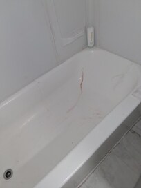 Blood in bathtub in 1st room we were given from previous guest