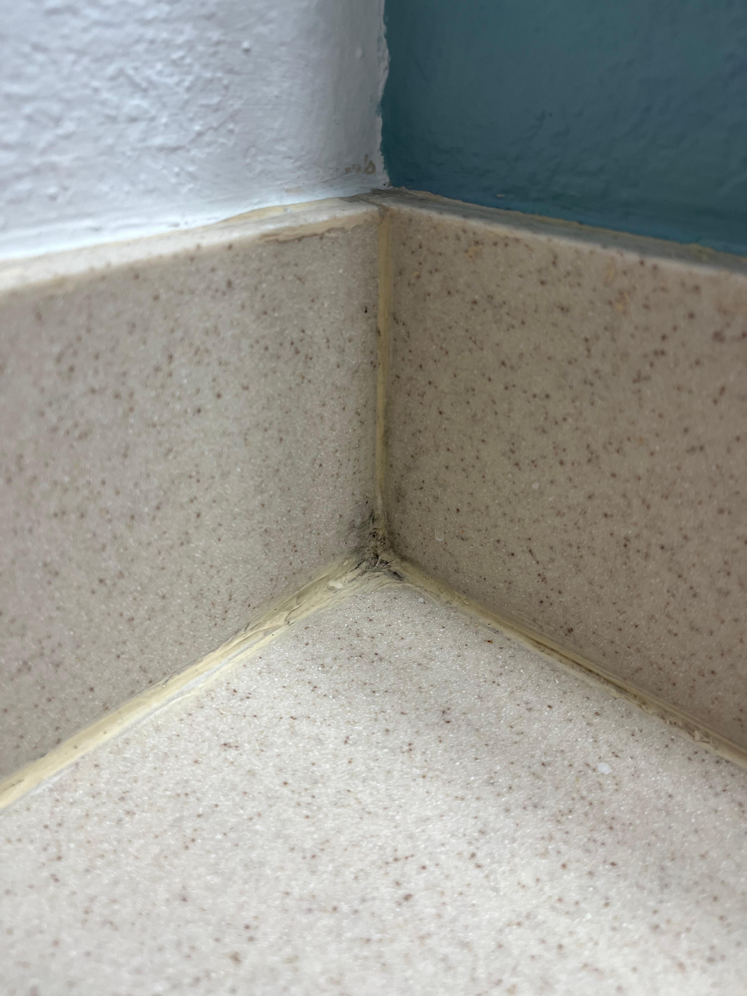 Mold in the corner