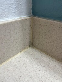 Mold in the corner