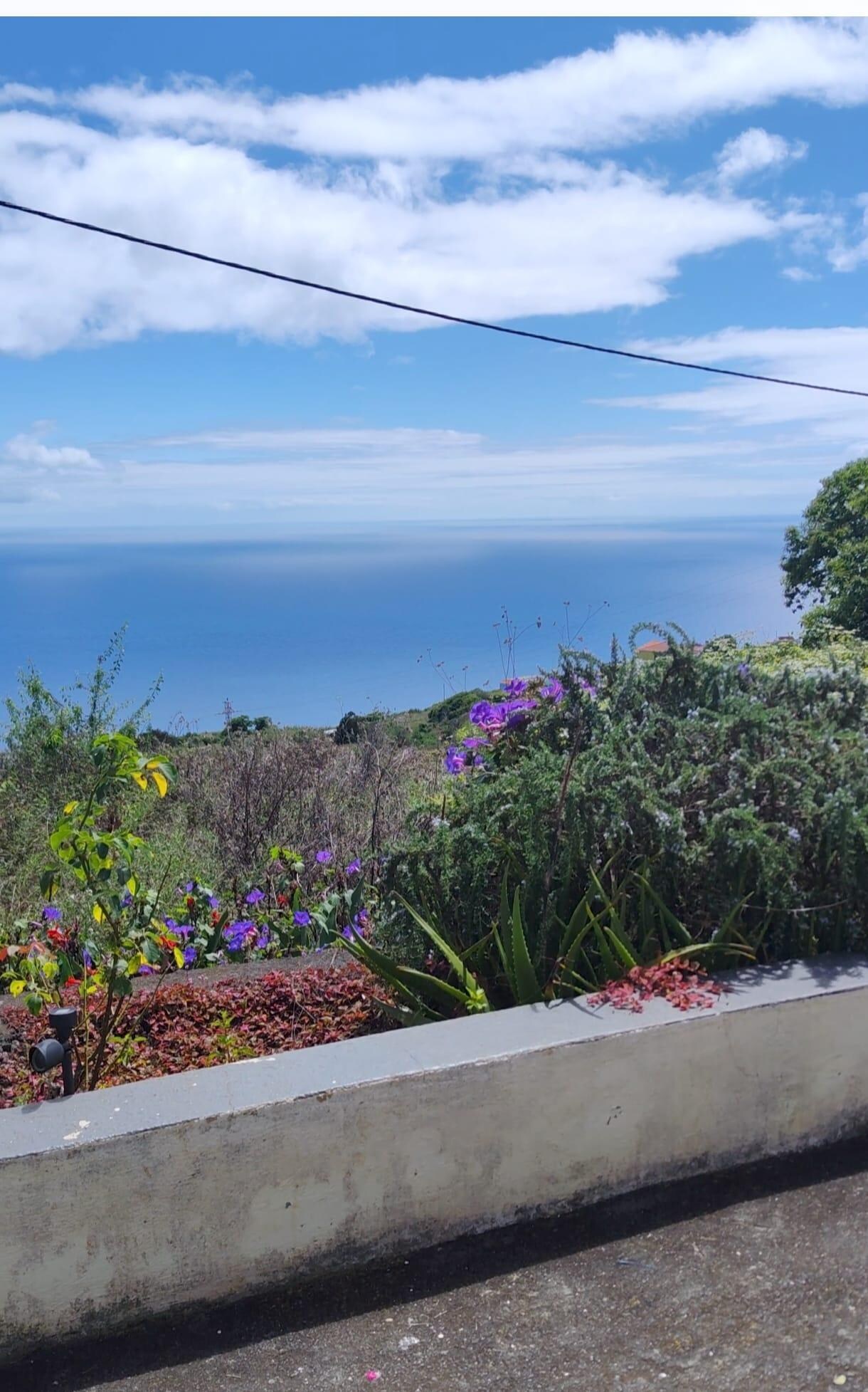 Vistas desde la casa.