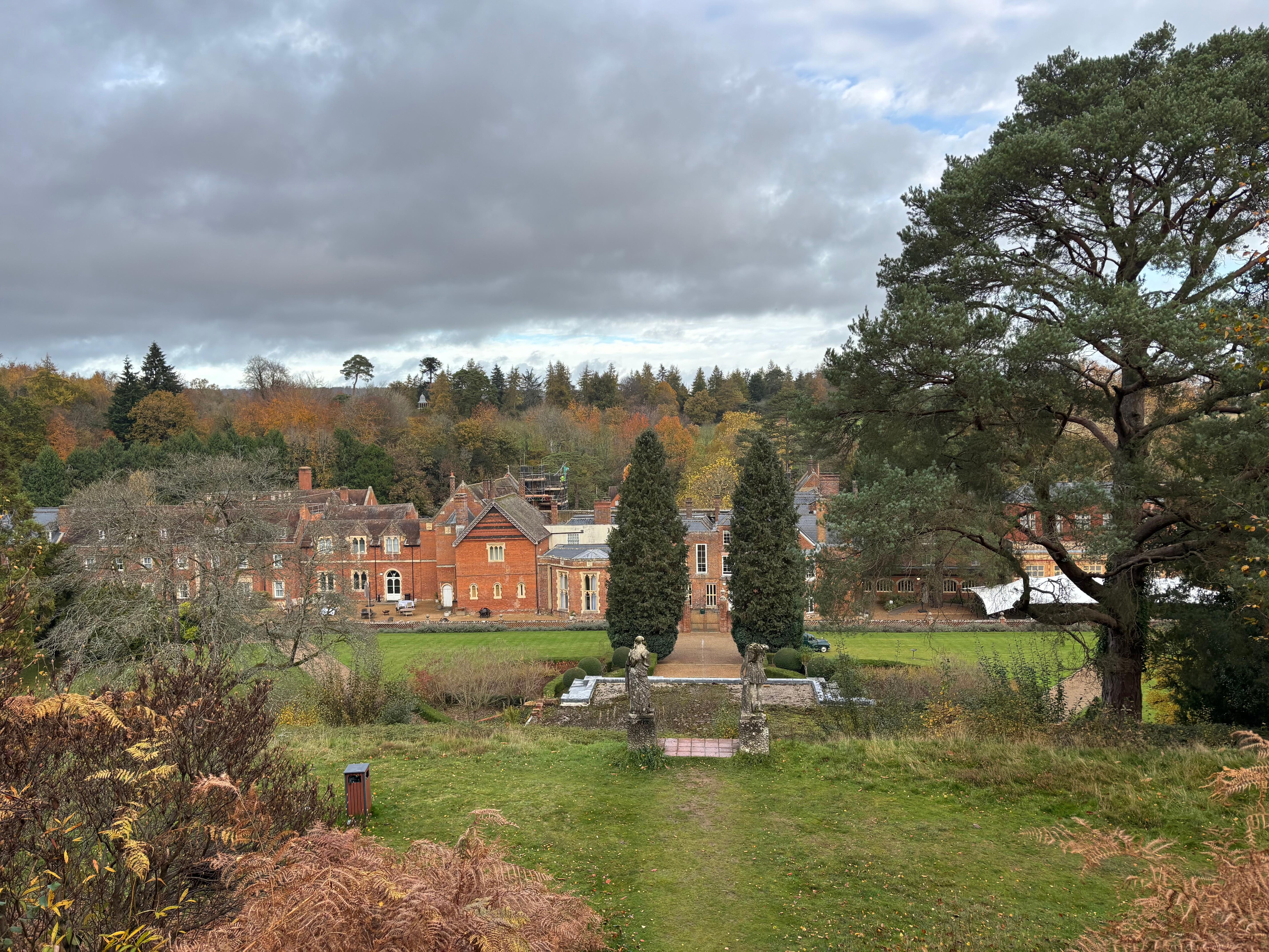 View from top of garden