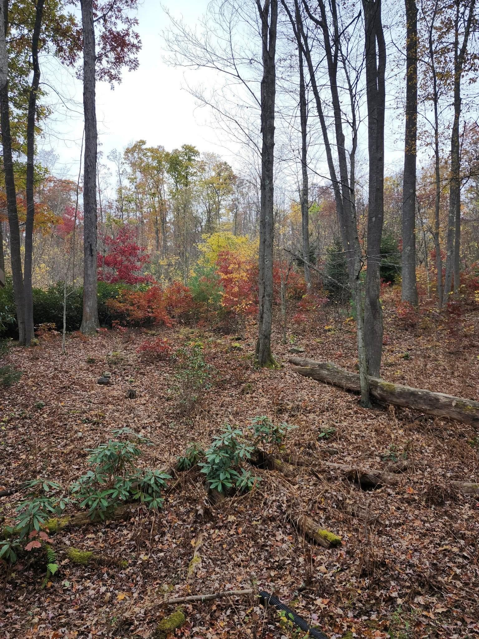 The property is very picturesque in the fall.