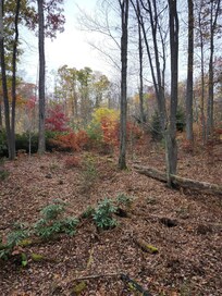 The property is very picturesque in the fall.