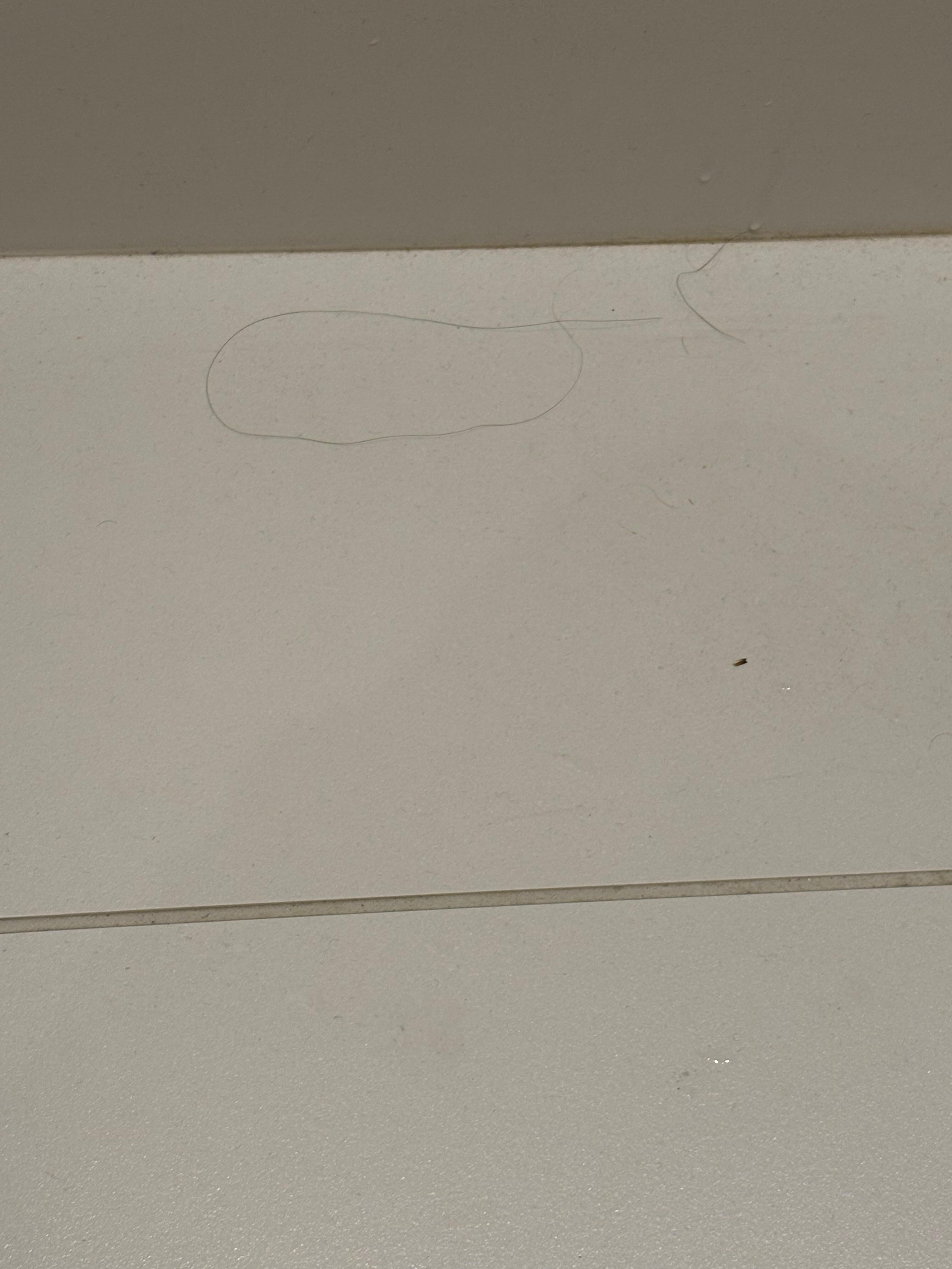 Too much hair around on floors . 