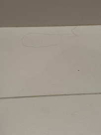 Too much hair around on floors .