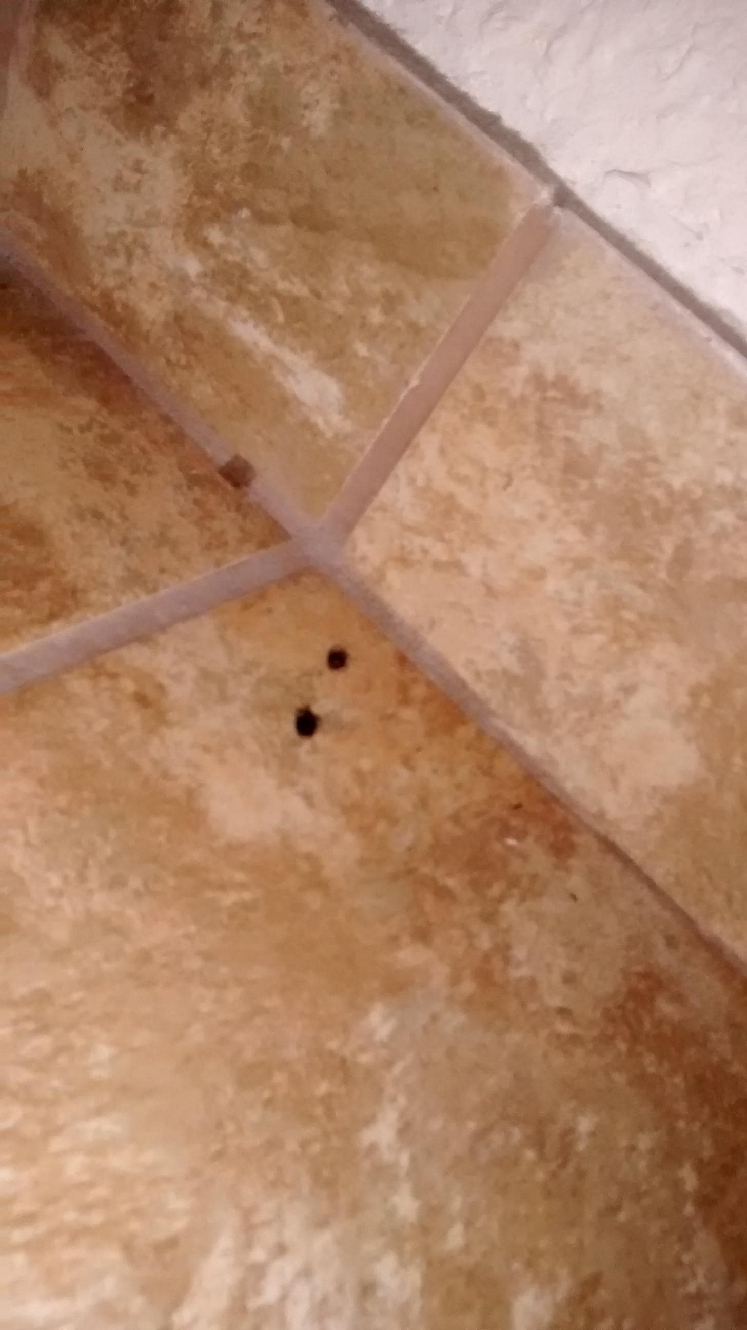 In shower