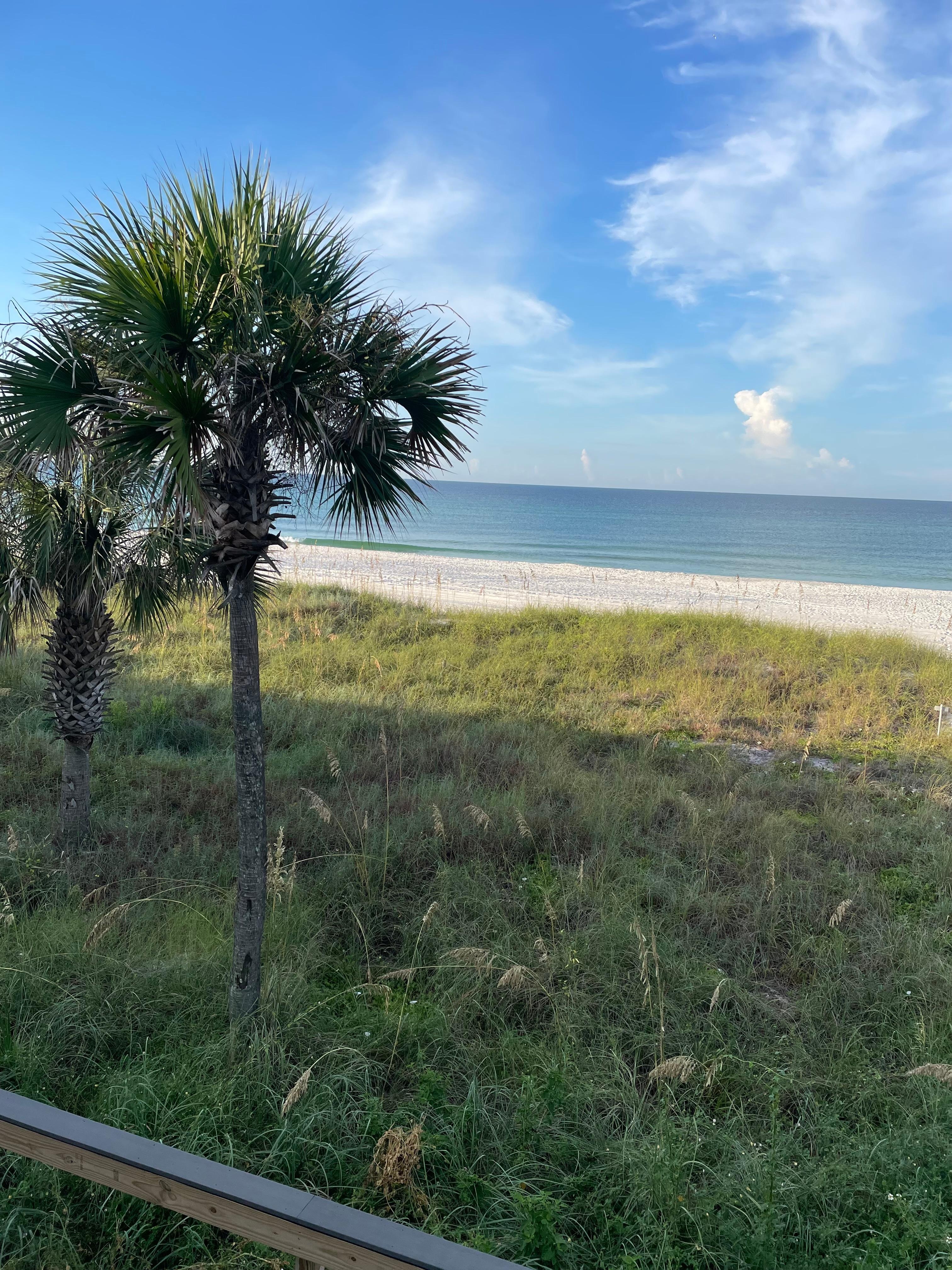 View from our deck in the AM.  