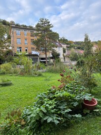 The house from the garden