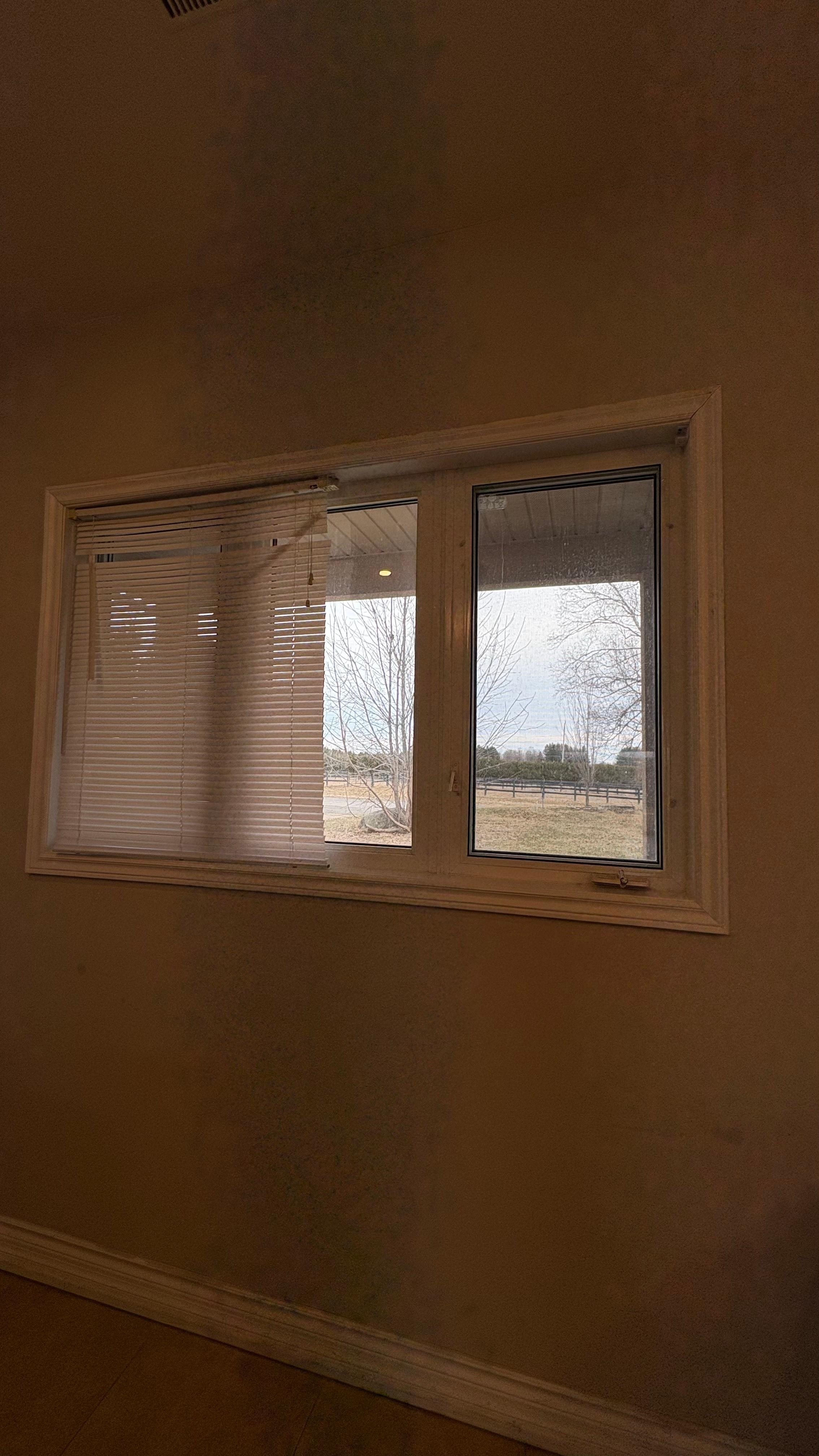 Filthy walls and broken blinds