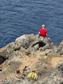 Ram Head Trail, St. John