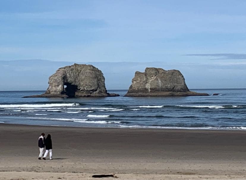 Take a walk along the beach, right outside the hotel!