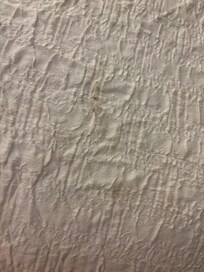 The mysterious brown spot I'm hoping was dirt that was on my bed.