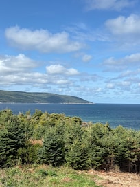 To the north. Meat Cove (beautiful draw dropping road) -don’t look down 😳