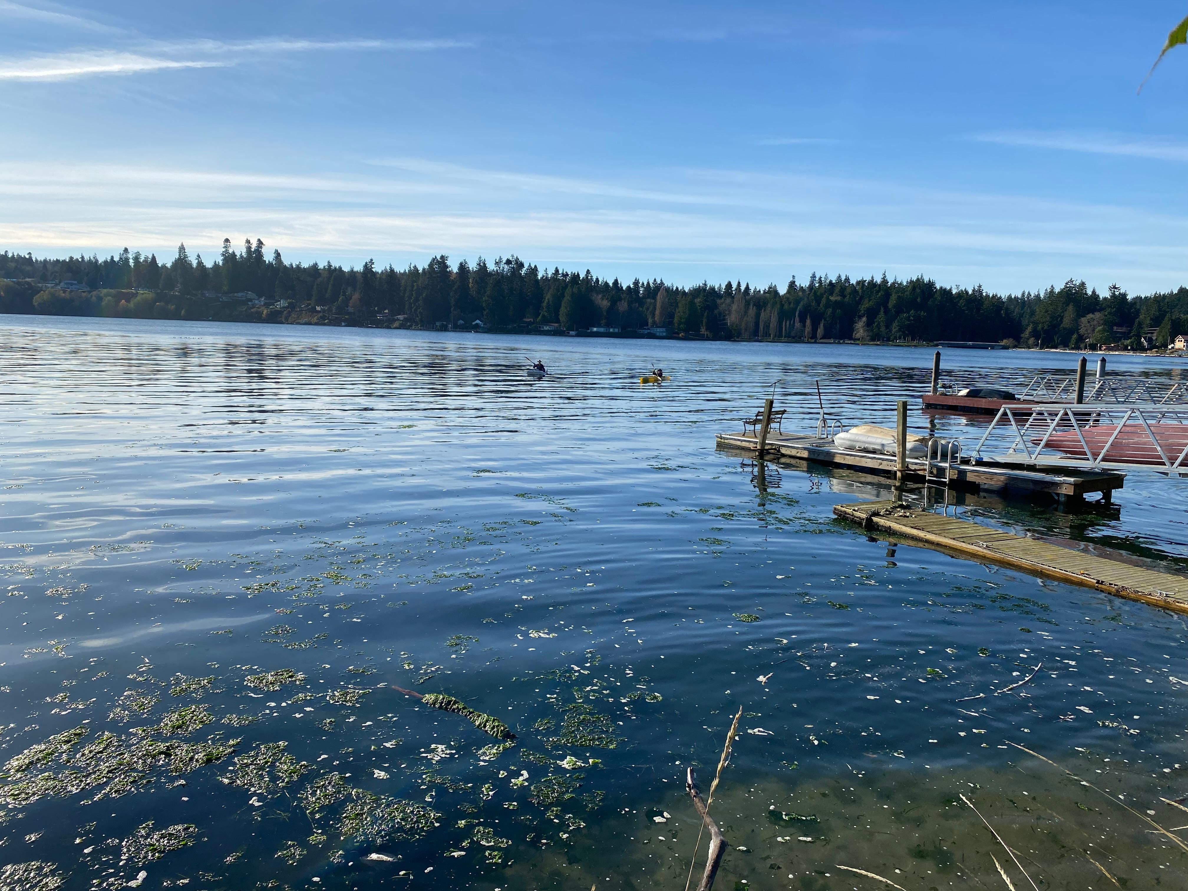 Kayaking in the bay.