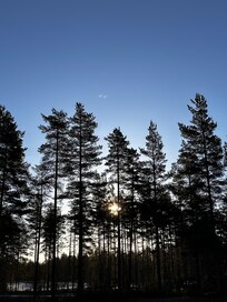 Udsigten fra værelset