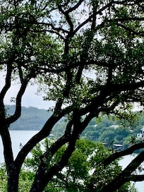 View from the side patio