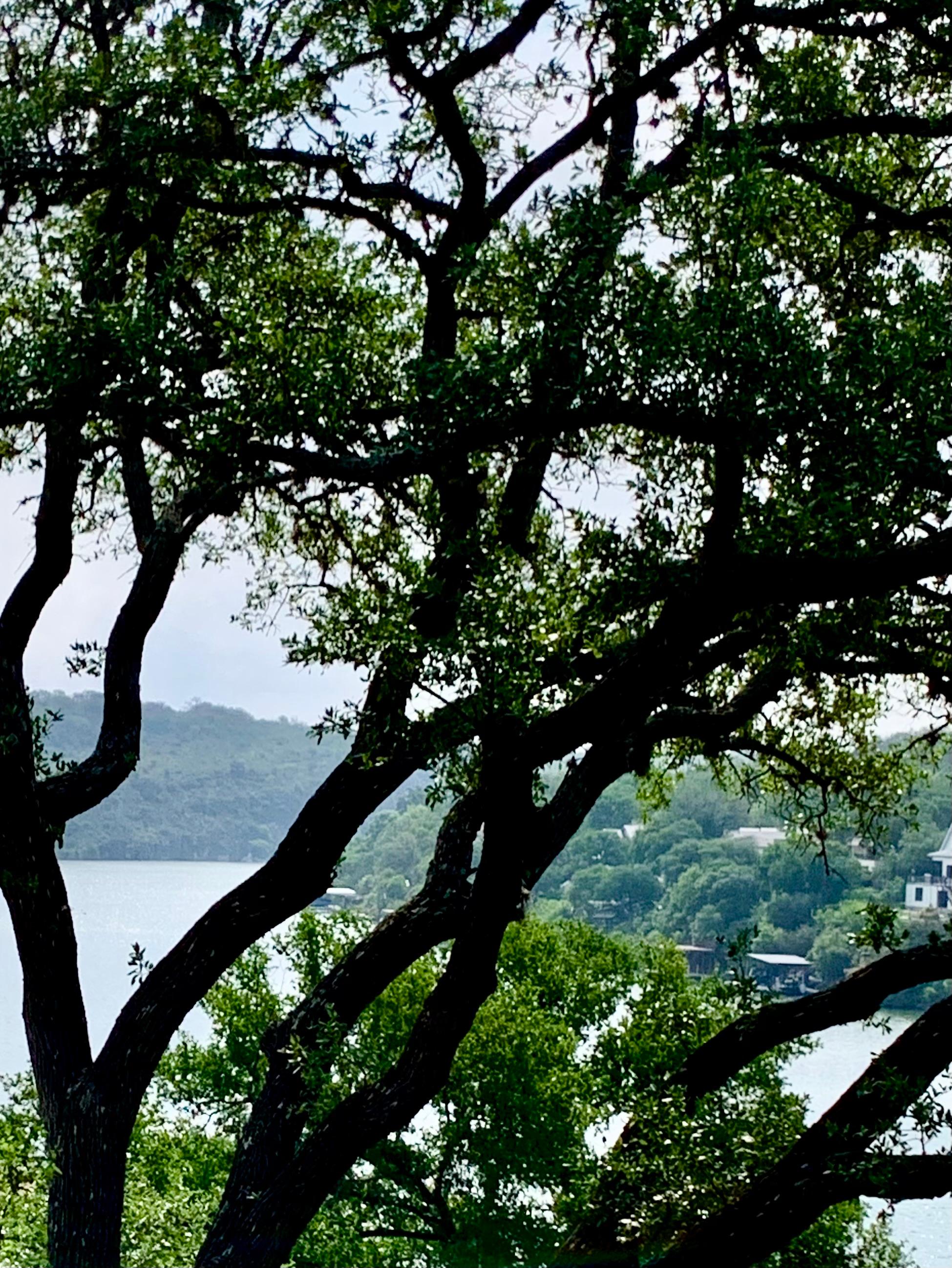 View from the side patio